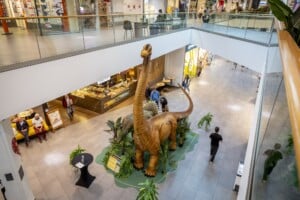 Scheriau_20240603UB063-min