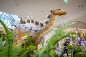 Scheriau_20240603UB070-min