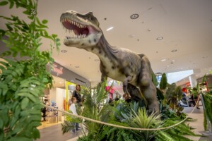 Scheriau_20240603UB073-min