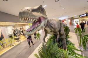 Scheriau_20240603UB101-min