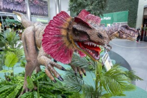 Scheriau_20240603UB109-min