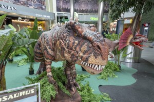 Scheriau_20240603UB167-min