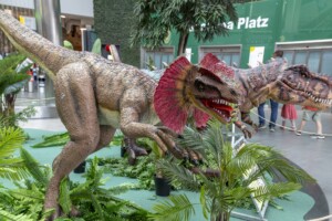 Scheriau_20240603UB169-min