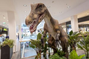 Scheriau_20240603UB171-min