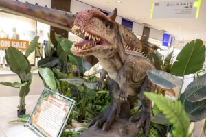 Scheriau_20240603UB257-min