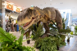 Scheriau_20240603UB259-min