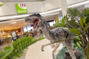 Scheriau_20240603UB261-min