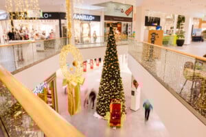 Gasser_Benjamin-2-34