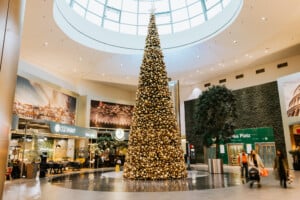 Gasser_Benjamin-2-118